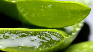 Aloe Vera Gel for Skin, Hair & Wellness: Benefits & Uses