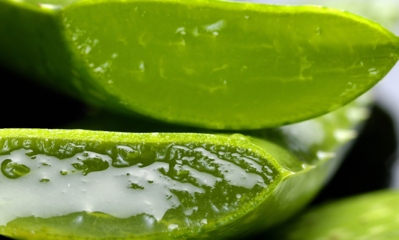 Aloe Vera Gel for Skin, Hair & Wellness: Benefits & Uses
