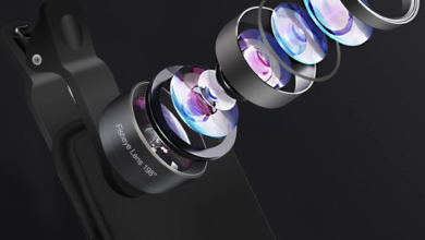 Fish Eye Lens: Complete Guide, Uses, Benefits, and Photography