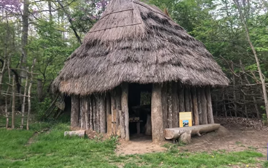 Walking, Jogging, and Relaxation