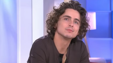 Timothee Chalamet Net Worth, Salary & Career Earnings 2026