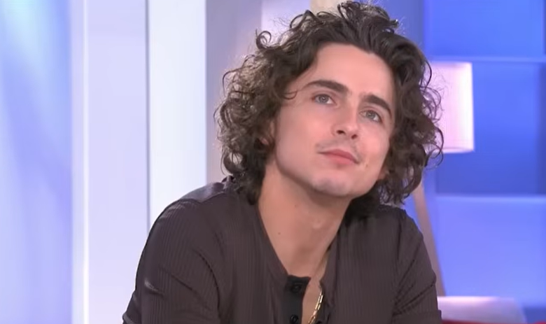 Timothee Chalamet Net Worth, Salary & Career Earnings 2026