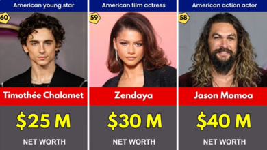 New Actors Net Worth 2026 – Rising Stars Income