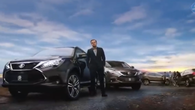 Leonardo DiCaprio Net Worth 2026, Income & Assets